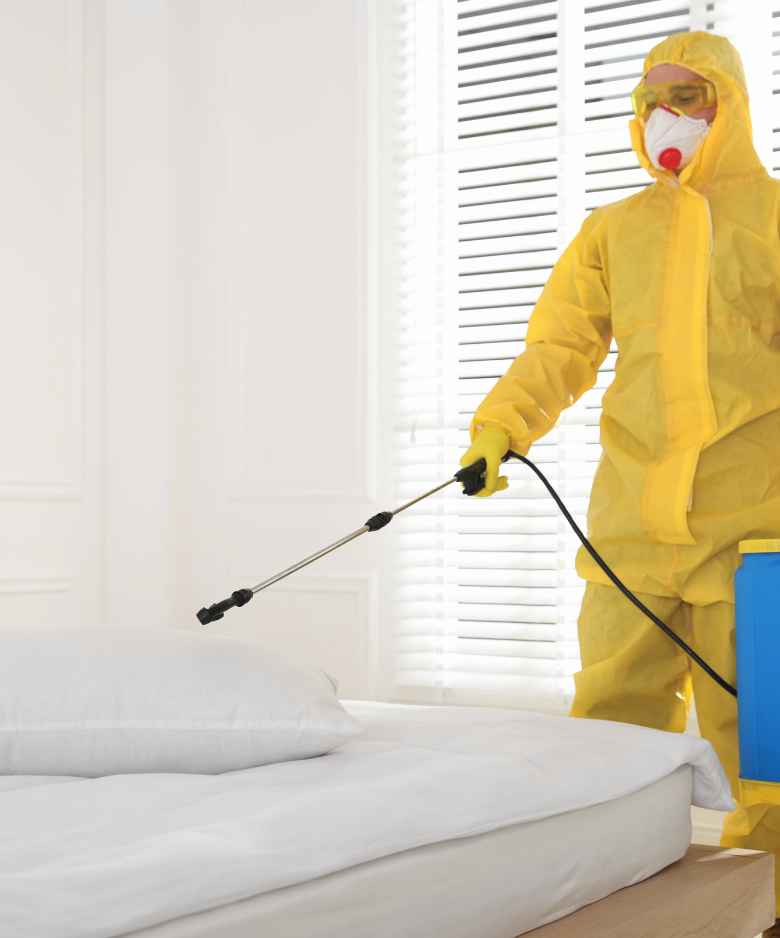 Professional Pest Control Team in Sampson Flat